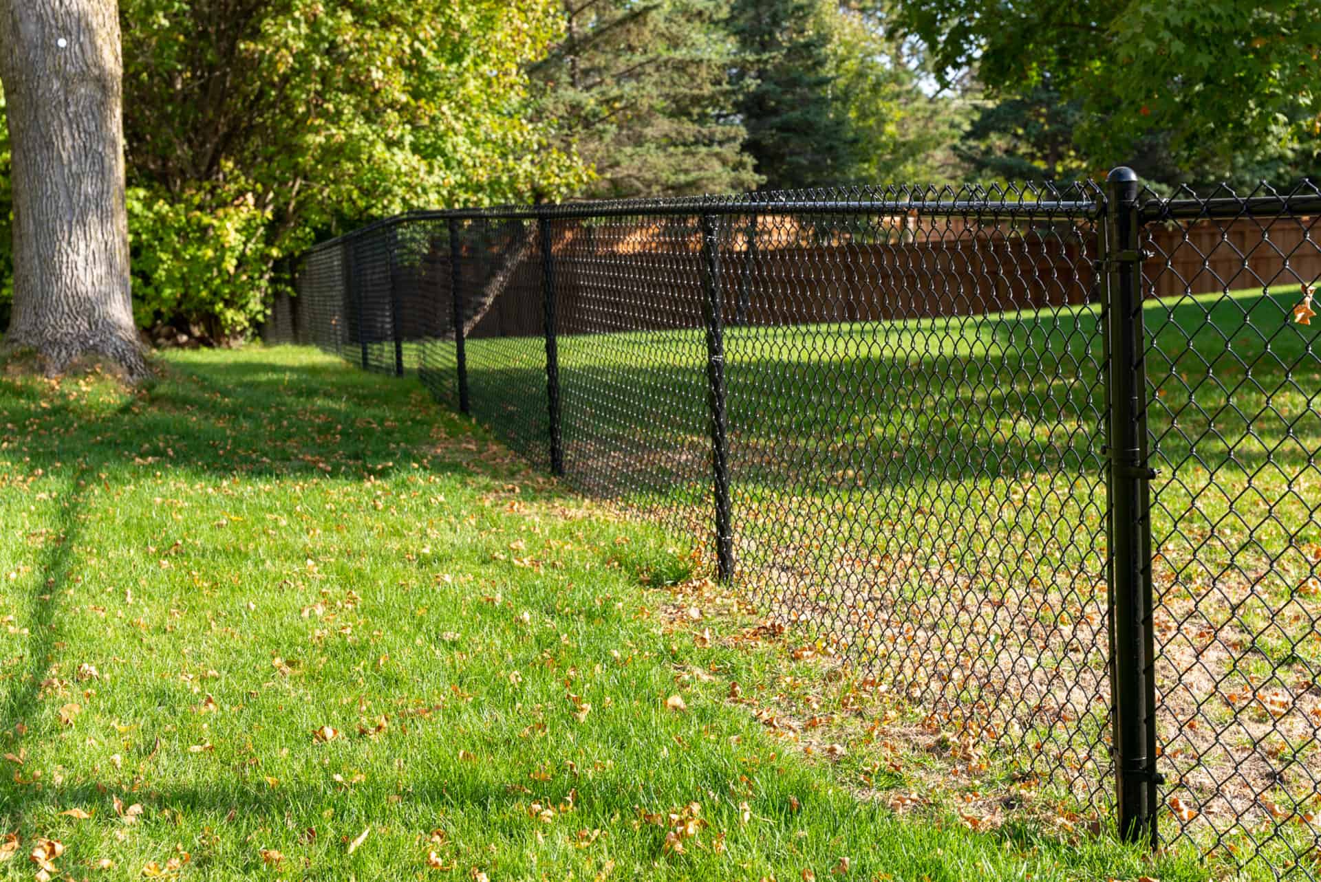 chain link fencing northland apple valley